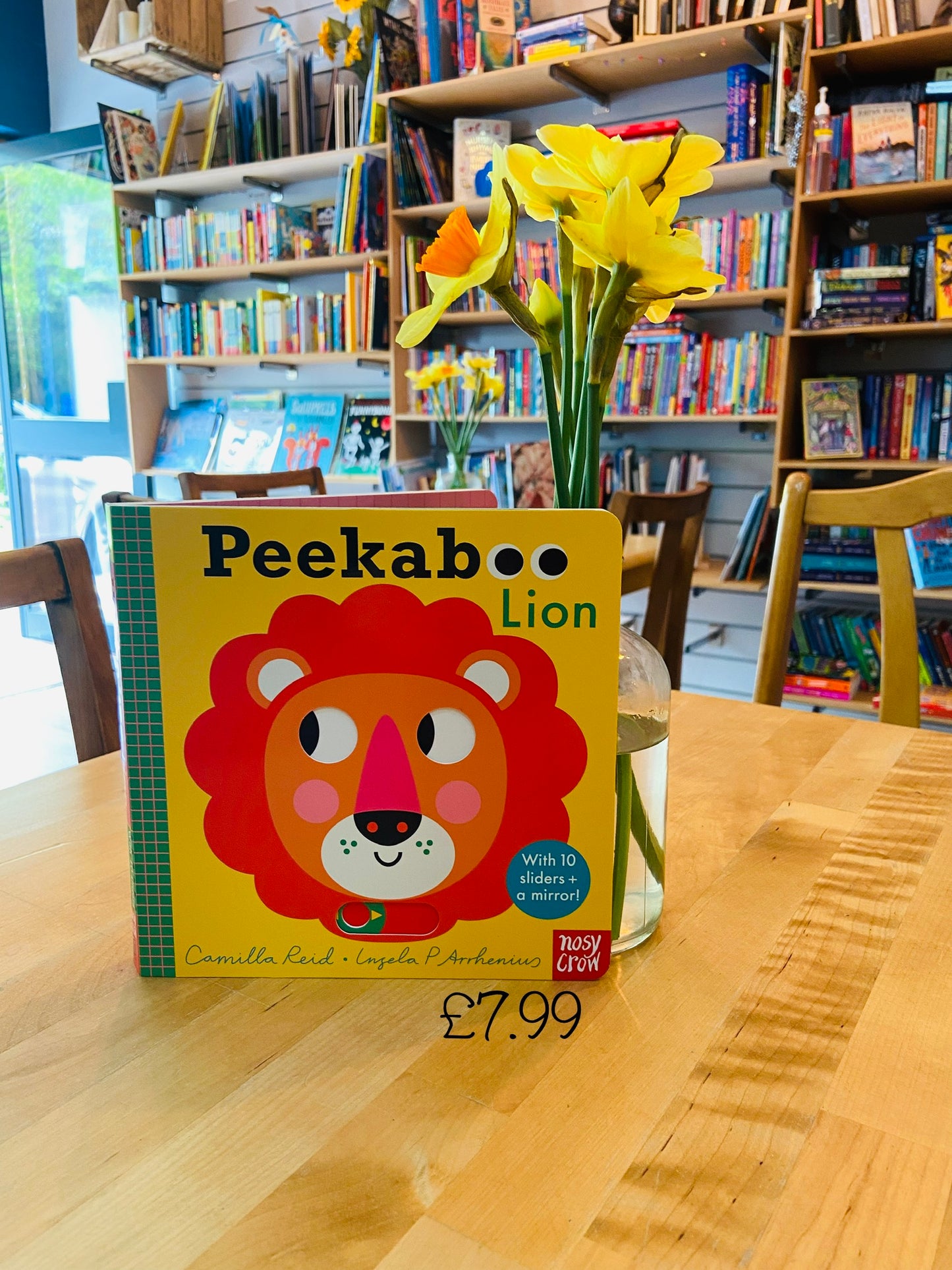 Peek-a -Boo Lion by Camilla Reid