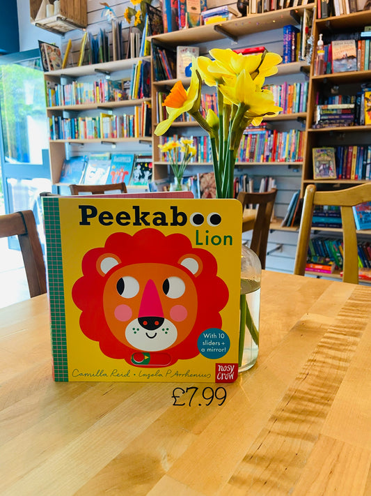 Peek-a -Boo Lion by Camilla Reid