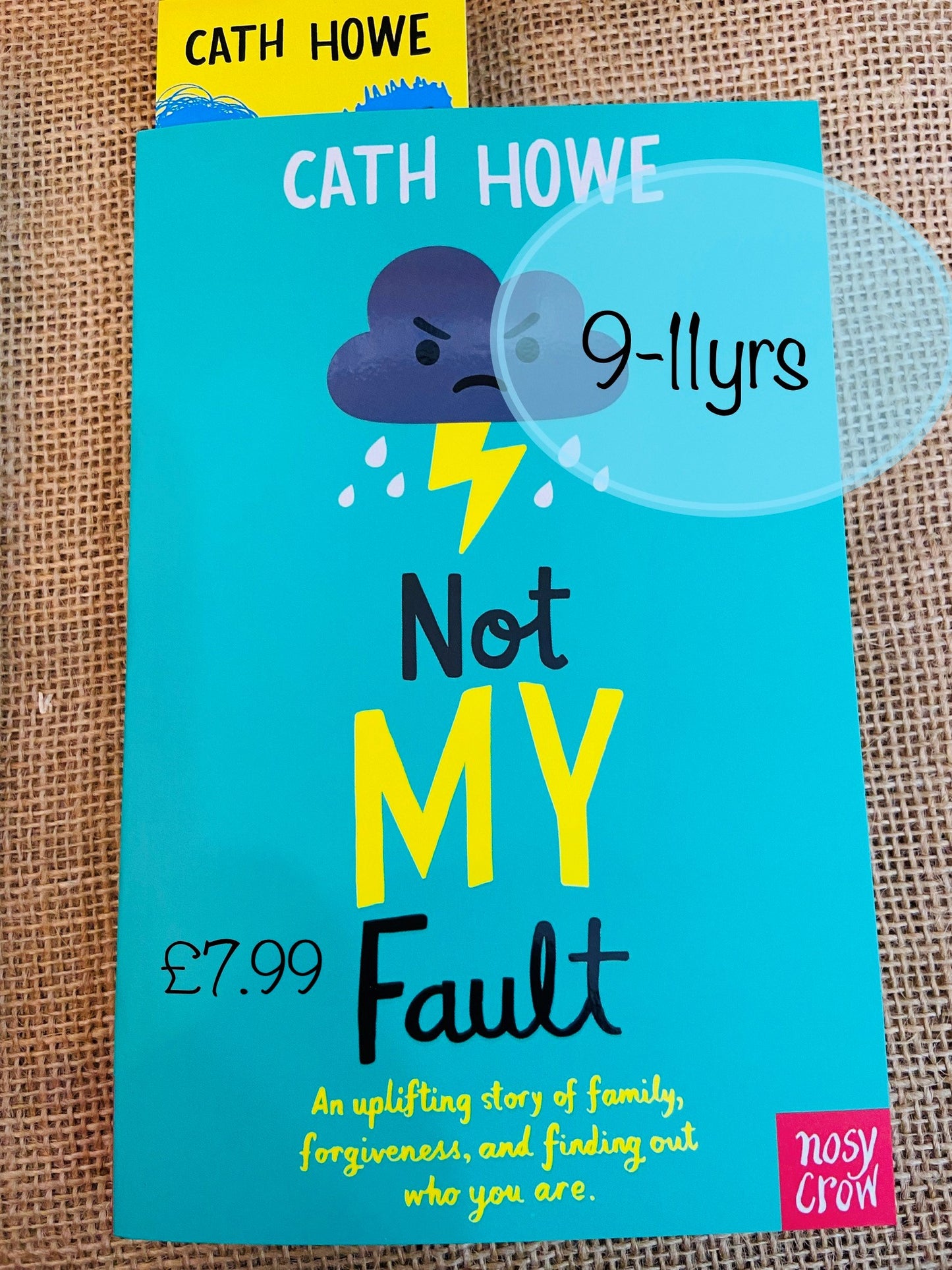 Not My Fault by Cath Howe