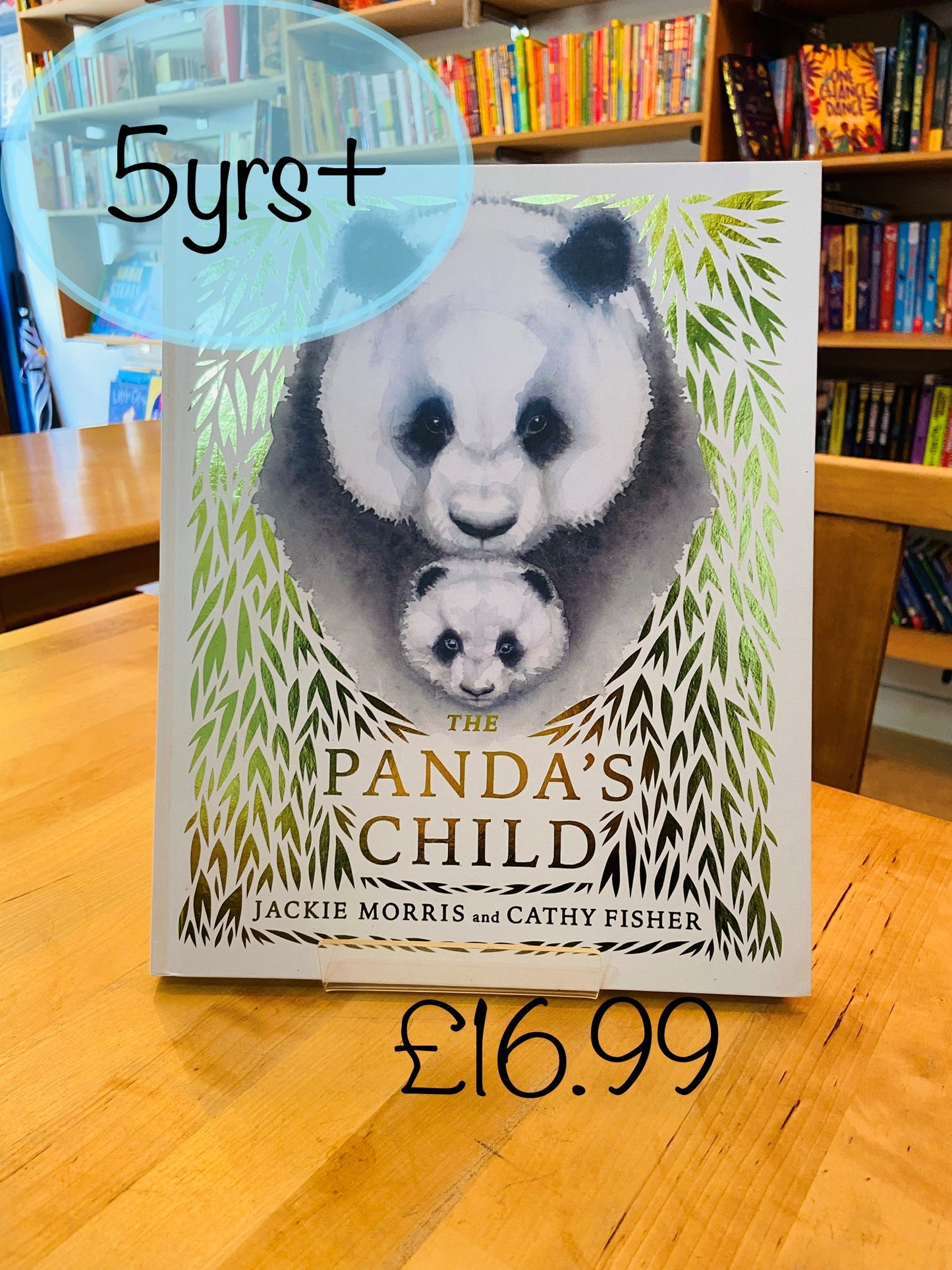 The Panda's Child by Jackie Morris