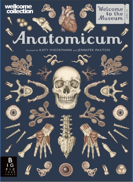 Anatomicum by Jennifer Z Paxton