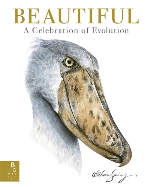 Beautiful : A Celebration of Evolution by William Spring