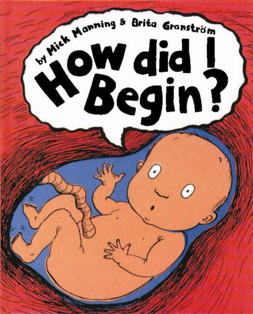 How Did I Begin? by Mick Manning