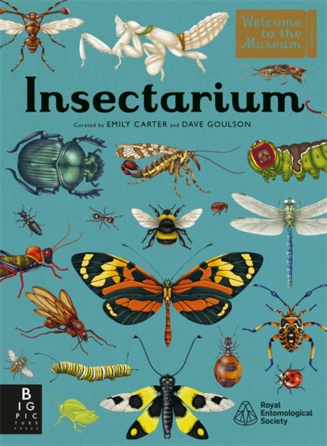 Insectarium by Dave Goulson Emily Carter