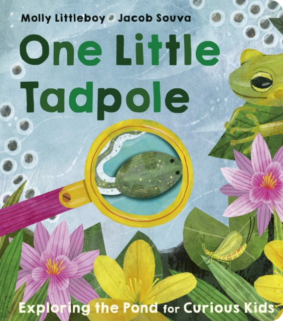 One Little Tadpole by Molly Littleboy