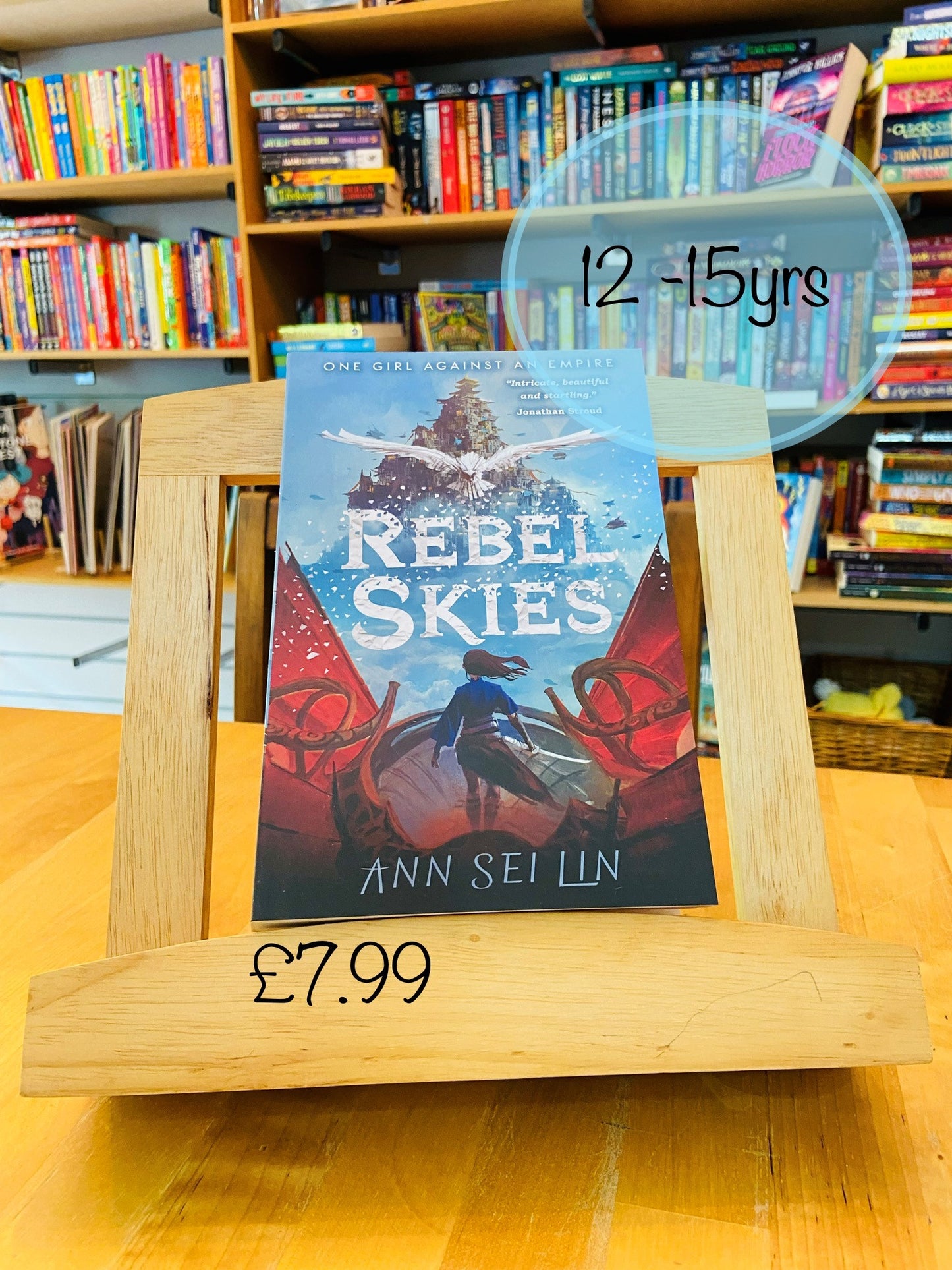 Rebel Skies by Ann Sei Lin