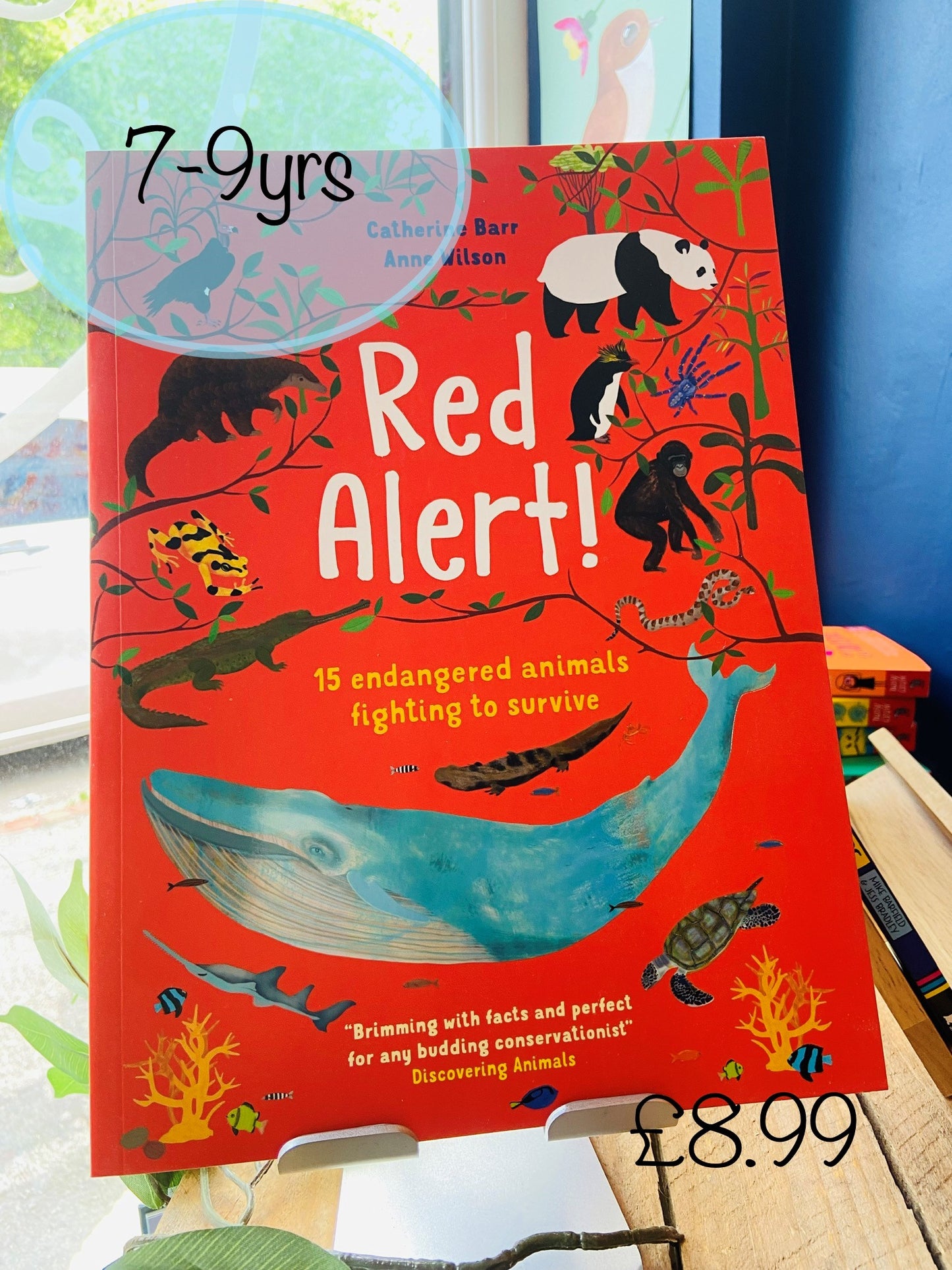 Red Alert by Catherine Barr and Anne Wilson