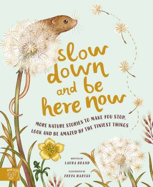 Slow Down and Be Here Now : More Nature Stories to Make You Stop, Look and Be Amazed by the Tiniest Things by Laura Brand