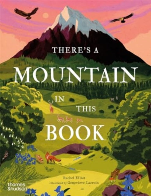 There's a Mountain in This Book by Rachel Elliot