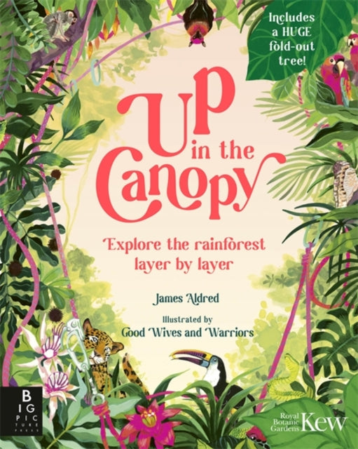 Up in the Canopy : Explore the Rainforest, Layer by Layer by James Aldred (Author)